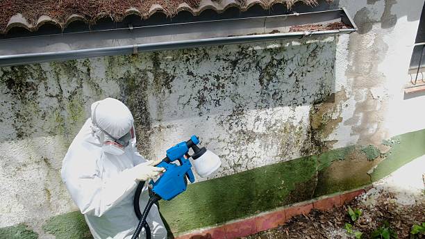 Trusted Mold Remediation service in Aaronsburg, PA - Cheap Mold Removal